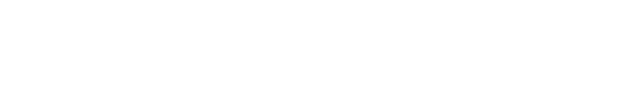 DC Web Studio logo